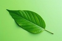 Leaf plant green freshness. AI generated Image by rawpixel.