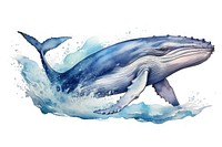 Whale animal mammal fish. AI generated Image by rawpixel.