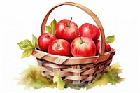 Basket apple fruit plant. 