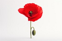 Poppy flower plant rose. AI generated Image by rawpixel.