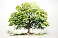 Tree plant tranquility outdoors. AI generated Image by rawpixel.