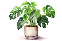 Plant leaf houseplant freshness. AI generated Image by rawpixel.