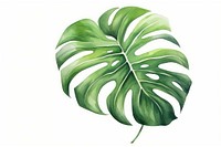 Plant leaf xanthosoma freshness. AI generated Image by rawpixel.