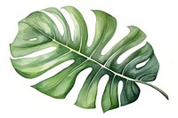 Plant leaf freshness pattern. AI generated Image by rawpixel.