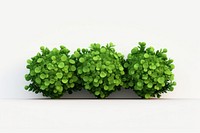Green plant herbs leaf. AI generated Image by rawpixel.