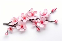 Blossom flower cherry plant. AI generated Image by rawpixel.