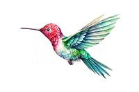 Hummingbird animal white background creativity. 