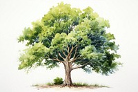 Tree plant tranquility outdoors. AI generated Image by rawpixel.