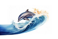 Dolphin animal mammal nature. 