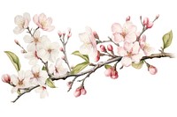 Blossom flower cherry plant. AI generated Image by rawpixel.