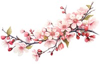 Blossom flower cherry plant. 