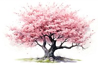 Blossom tree flower cherry. AI generated Image by rawpixel.