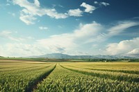 Land agriculture landscape grassland. 