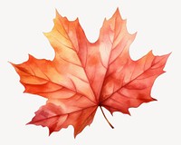 Leaf maple plant tree. AI generated Image by rawpixel.