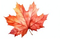 Leaf maple plant tree. AI generated Image by rawpixel.