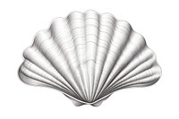 Seashell clam white background invertebrate. AI generated Image by rawpixel.