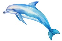 Dolphin animal mammal fish. AI generated Image by rawpixel.