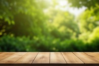 Nature table backgrounds sunlight. 