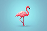 Flamingo animal bird wildlife. 