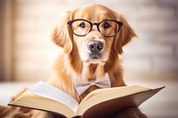Reading book publication retriever. AI generated Image by rawpixel.