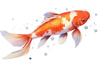 Fish koi goldfish animal. 