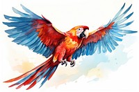 Animal parrot macaw bird. 