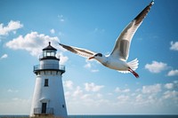 Seagull flying lighthouse animal. 