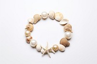 Seashell necklace bracelet jewelry. 