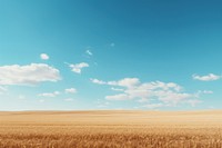 Field sky outdoors horizon. 