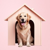 Dog retriever animal mammal. AI generated Image by rawpixel.