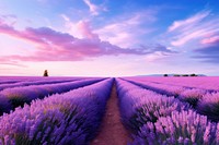 Lavender sky landscape outdoors. 