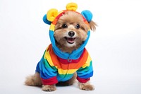 Puppy costume mammal cute. 