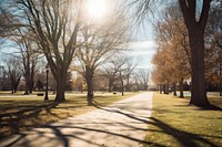 Park sunlight outdoors autumn. 