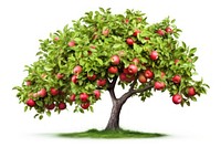 Apple tree plant fruit. AI generated Image by rawpixel.