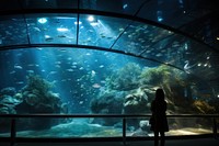 Aquarium silhouette outdoors animal. 