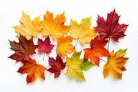 Backgrounds leaves autumn maple. AI generated Image by rawpixel.