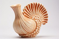 Pottery seashell art invertebrate. 