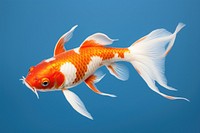 Fish goldfish animal koi. AI generated Image by rawpixel.