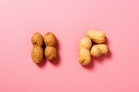 Nut peanut plant food. AI generated Image by rawpixel.