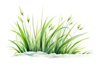 Grass plant green reed. AI generated Image by rawpixel.