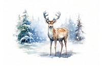 Wildlife animal mammal taxidermy. AI generated Image by rawpixel.