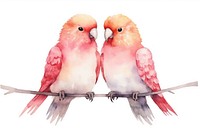 Bird parrot animal love. 