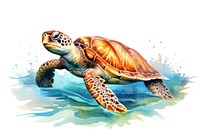 Reptile animal turtle sea. AI generated Image by rawpixel.