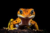 Gecko reptile animal lizard. AI generated Image by rawpixel.