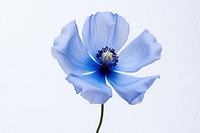 Flower blossom pollen petal. AI generated Image by rawpixel.