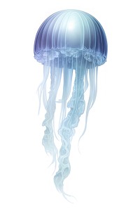 Jellyfish invertebrate transparent translucent. AI generated Image by rawpixel.