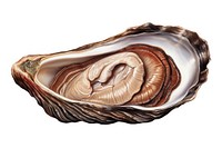 Oyster clam invertebrate shellfish. AI generated Image by rawpixel.