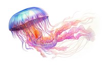 Jellyfish invertebrate transparent creativity. AI generated Image by rawpixel.