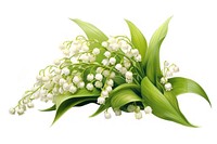 Flower plant white leaf. AI generated Image by rawpixel.