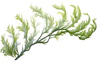 Plant herbs freshness vegetable, digital paint illustration. AI generated image